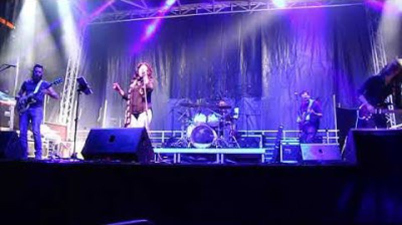 L'ELU-TERRIEN - concert reprises rock