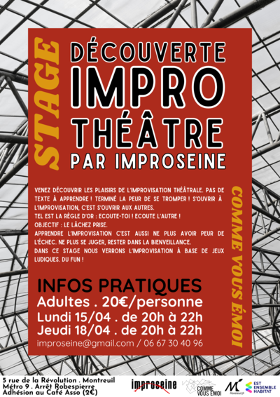 Stage de découverte de l'Impro Théâtre par Improseine