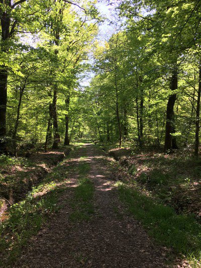 L’Espace Naturel Sensible : « Sentier de la Salamandre »