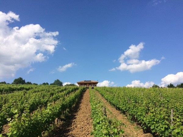 La Cabane dans les Vignes
