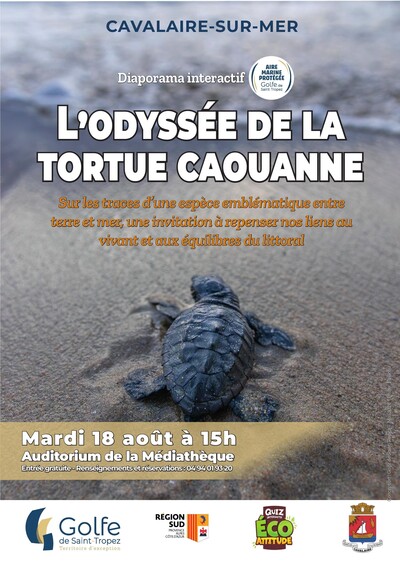 L’odyssée de la tortue caouanne
