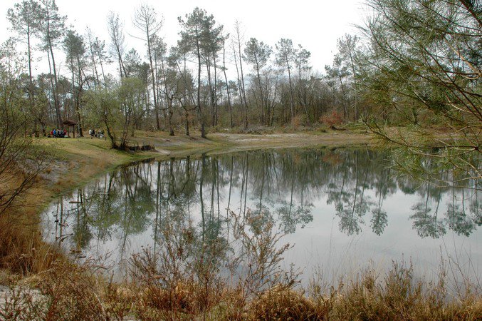 Lagunes de Nabias