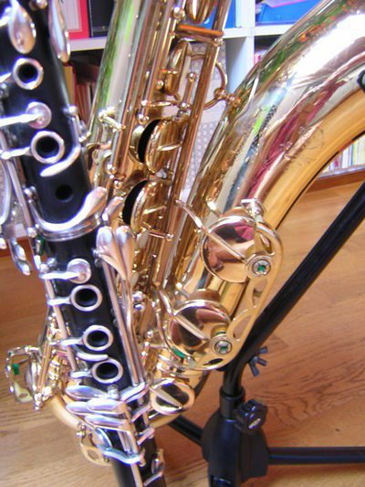 Thierry Maucarré - cours particuliers de saxophone et clarinette