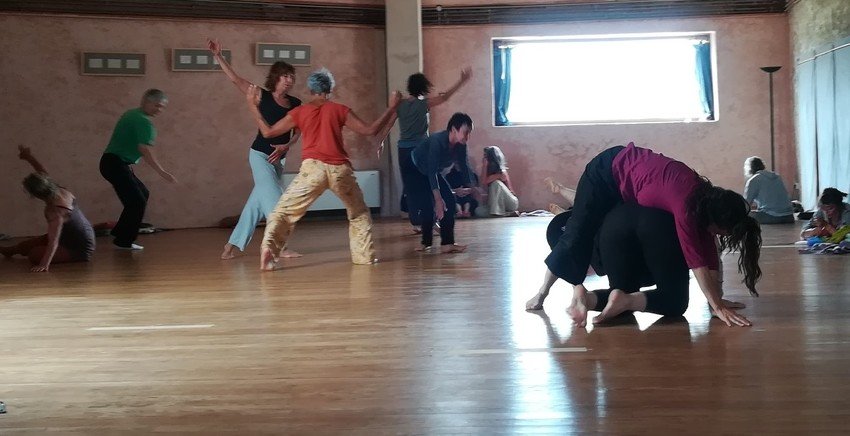 Danse improvisée et BMC® 
