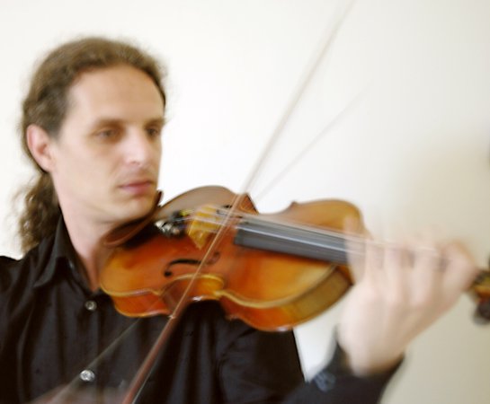 Fabrice Vernette - Professeur diplômé d'Etat donne cours de violon