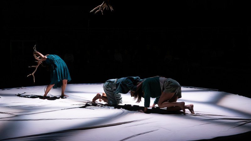 Faune - Cie Libertivore 