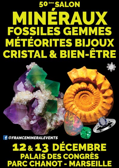 50ème Salon des Minéraux de Marseille