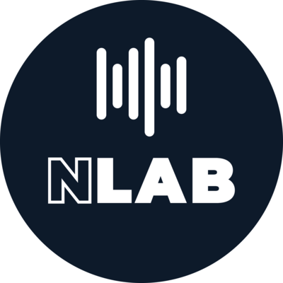 NLab - Cours de guitare / de chant 