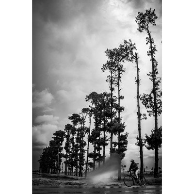 Anne Affortit - Stage Photo Avignon 