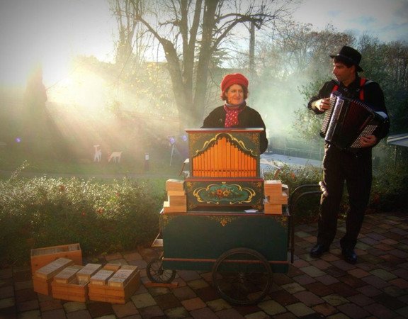 Mimipinson - Animations accordéon et orgue de Barbarie