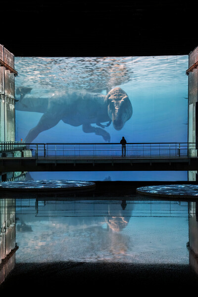 Planète préhistorique : Dinosaures, l'expérience immersive