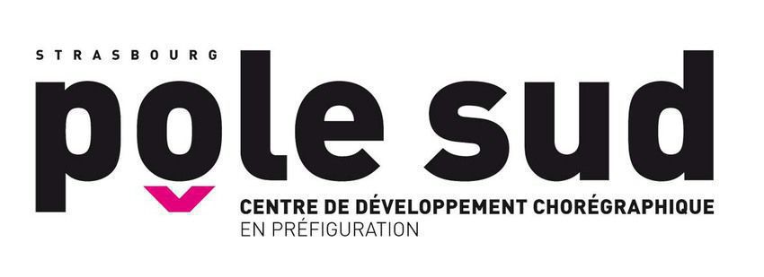 Pôle sud