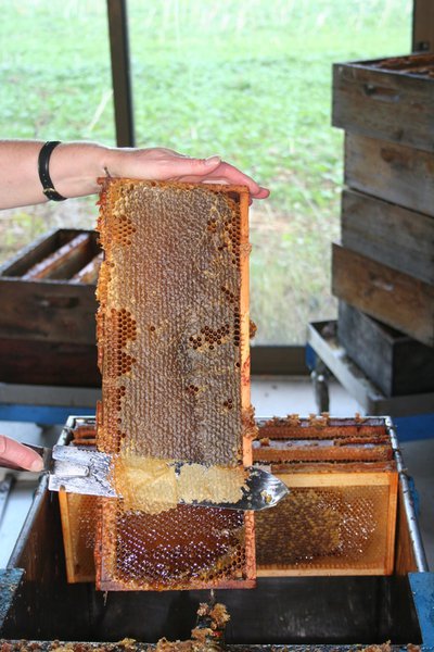 Musée Vivant de l'Apiculture Gâtinaise