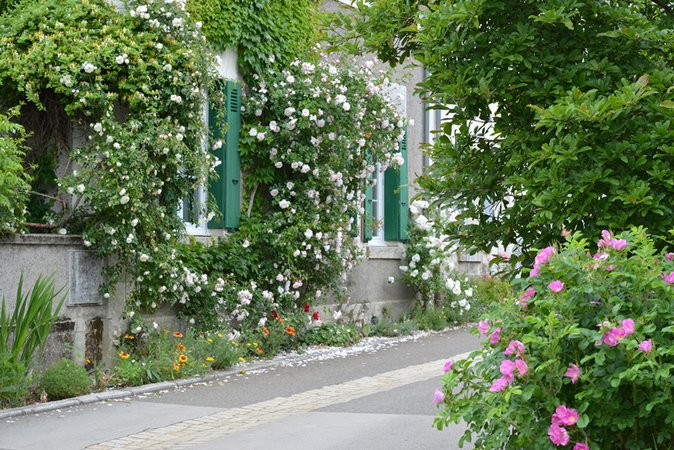 Village de Chédigny "Jardin Remarquable"