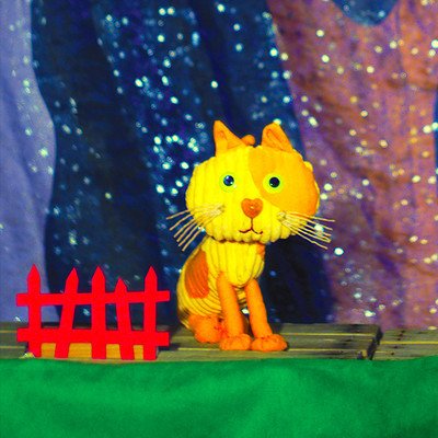 Filocha le petit chat