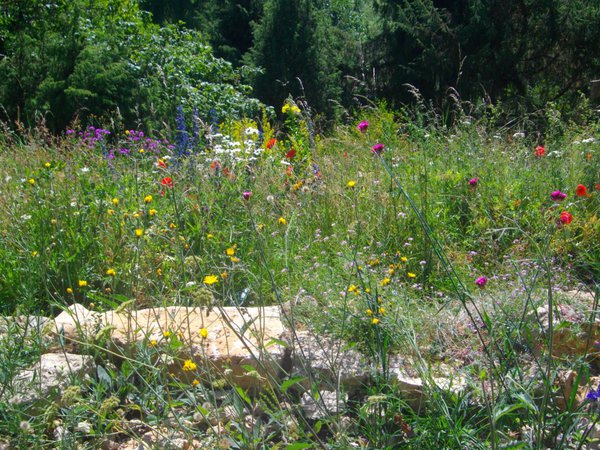 Jardin du naturaliste