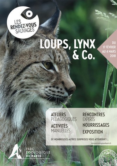 Les Rendez-Vous Sauvages : Loups, lynx & co 