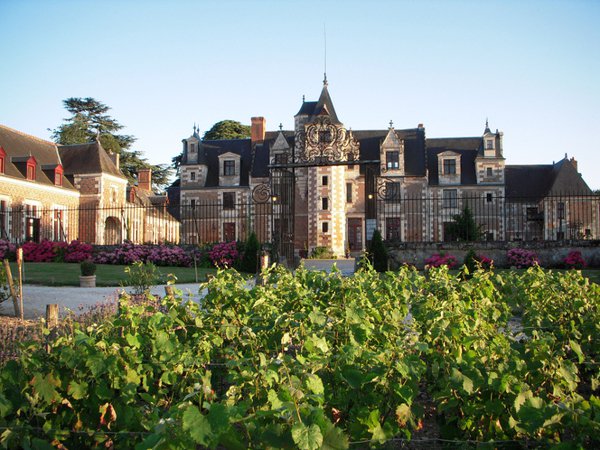 Château de Jallanges