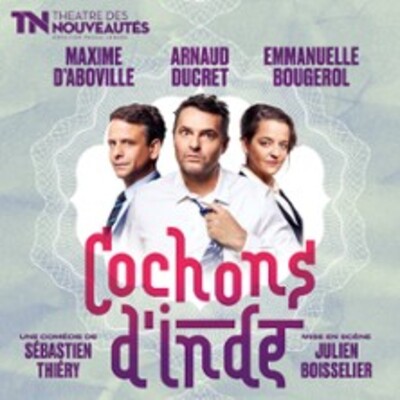 "Cochons d'Inde"