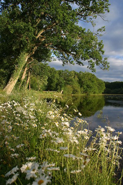 L'Etang de la Benette