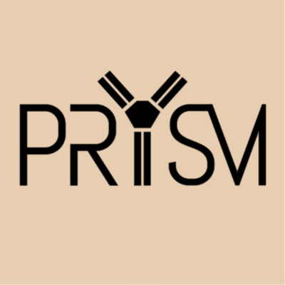 PRYSLM BAND  - groupe de musique 