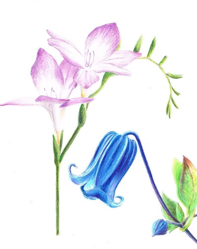 Croquis aquarellés dans les jardins de Quimper 