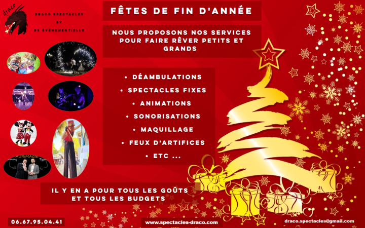 Draco spectacles  - Animation et Spectacles pour les fêtes de fin d'année