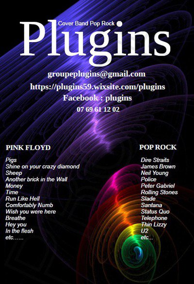 PLUGINS - COVER PINK FLOYD et POP ROCK