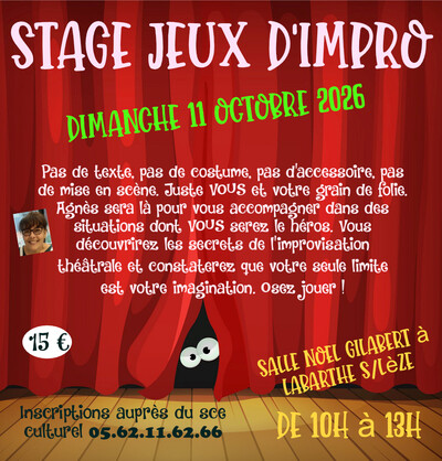 Stage Jeux d'Impro Adultes 