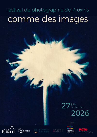 comme des images - festival de photographie de Provins