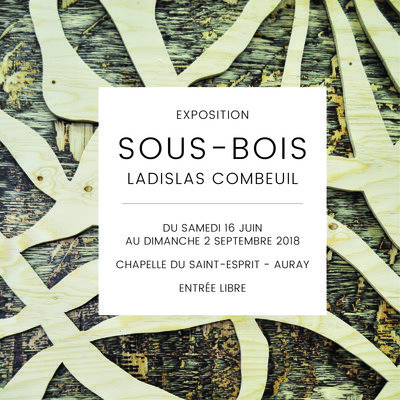 Exposition Sous-bois de Ladislas Combeuil