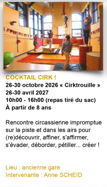 Stage en Arts du Cirque - tous niveaux