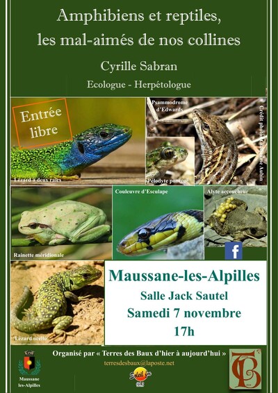 « Amphibiens et reptiles, les mal-aimés de nos collines »