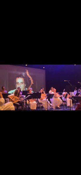 ihab ezzeldin - Cours de luth (oud oriental)