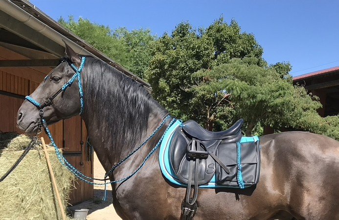 sellerie Gracie Creation - fabrication de matériel et de costume équestre 