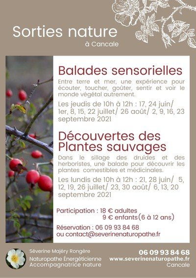 Sorties nature - Balades sensorielles / Découvertes plantes sauvages