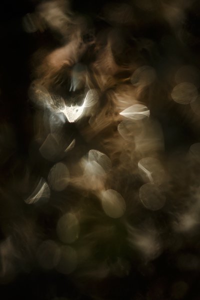Thyphaine Romeo - photographe