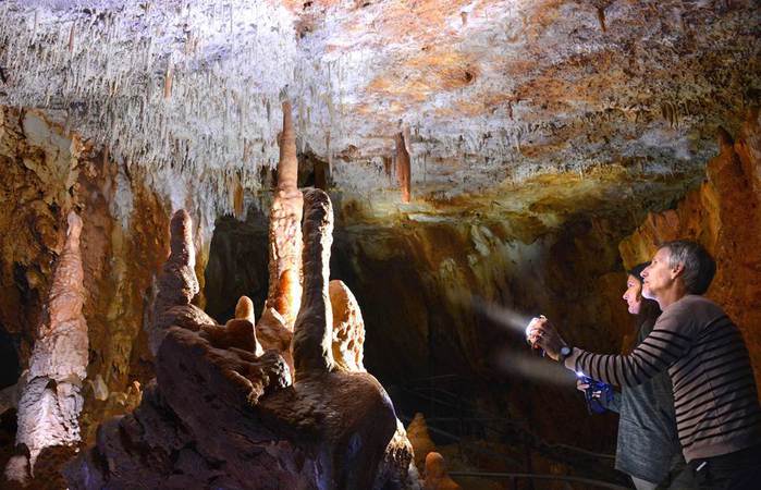 Aven Grotte Forestière