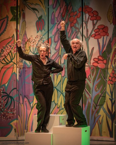 Cie Wonderkaline - Spectacle LA DISPARITION