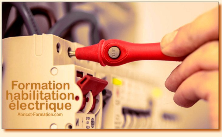 Abricot-Formation.com - Habilitations électriques spectacle de 1 à 5 jours CPF Afdas