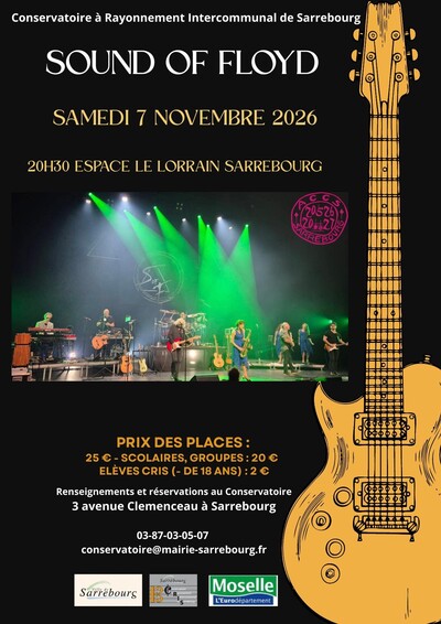 Sound of Floyd en concert