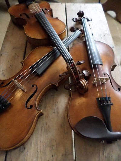 TERRE DE SONS - COURS DE VIOLON TRADITIONNEL