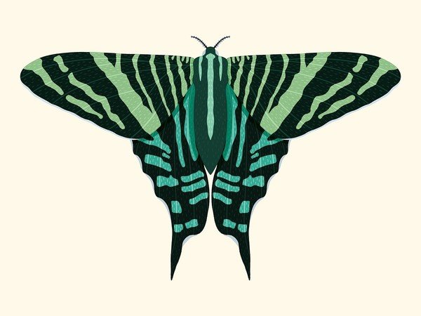 Fête de la nature : Atelier créatif collages