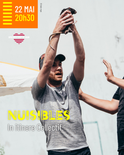 Nuisibles