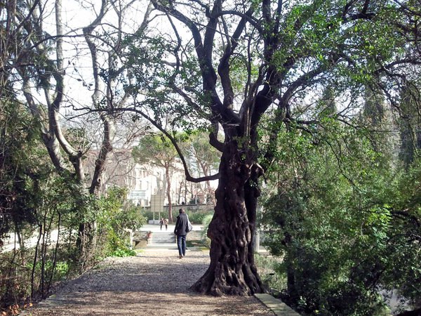 LE JARDIN DES PLANTES