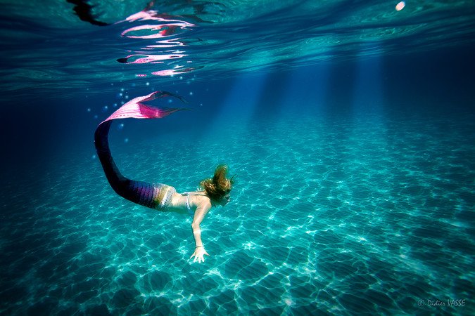 Les trésors de Freya - Freya la sirène professionnellle