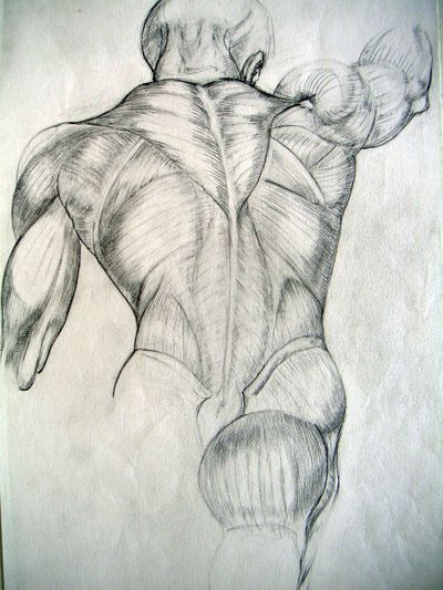 Atelier PH5  - Cours Dessin, Aquarelle, Encre,  Peinture Acrylique