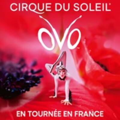 "Cirque du Soleil - Ovo - Tournée"