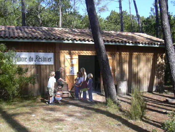 La réserve naturelle des Prés Salés d'Arès-Lège