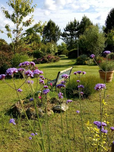 Les Jardins ethnobotaniques de Haute Terre